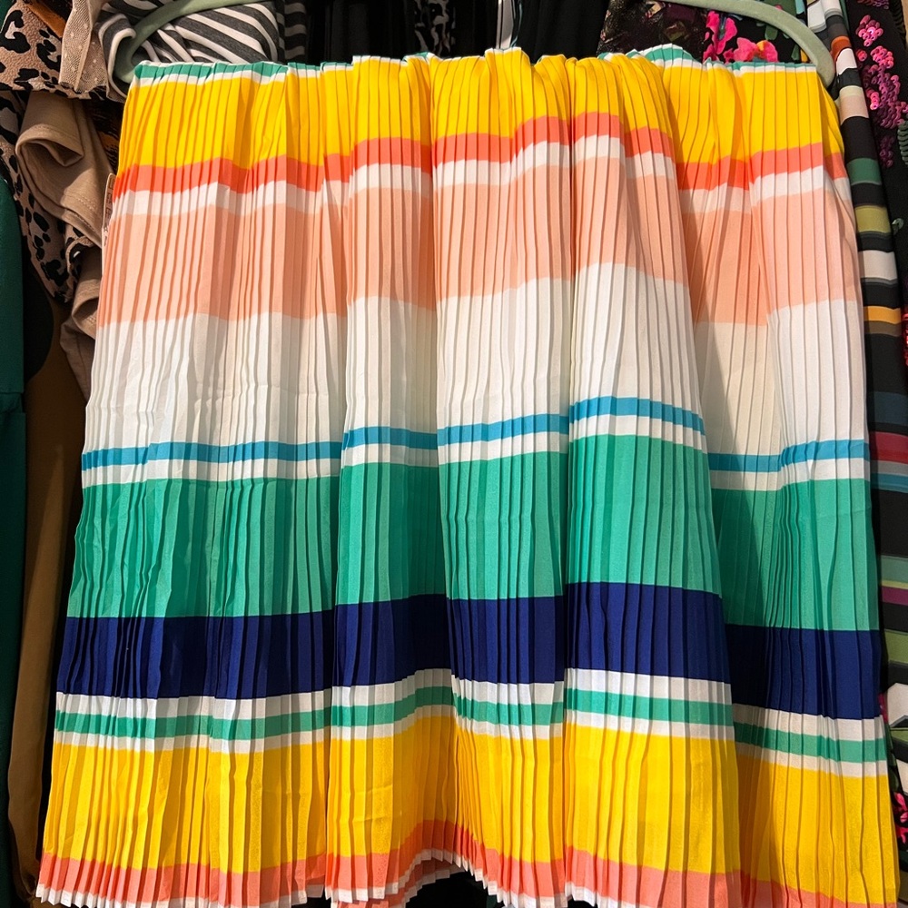 Merona Pleated Skirt